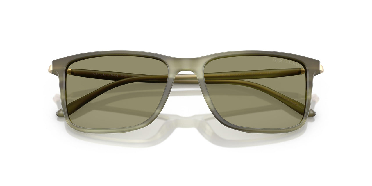 61682A - Tortoise - Green