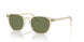 109452 - Yellow - Green C