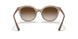 294013 - Light Brown - Brown Gradient