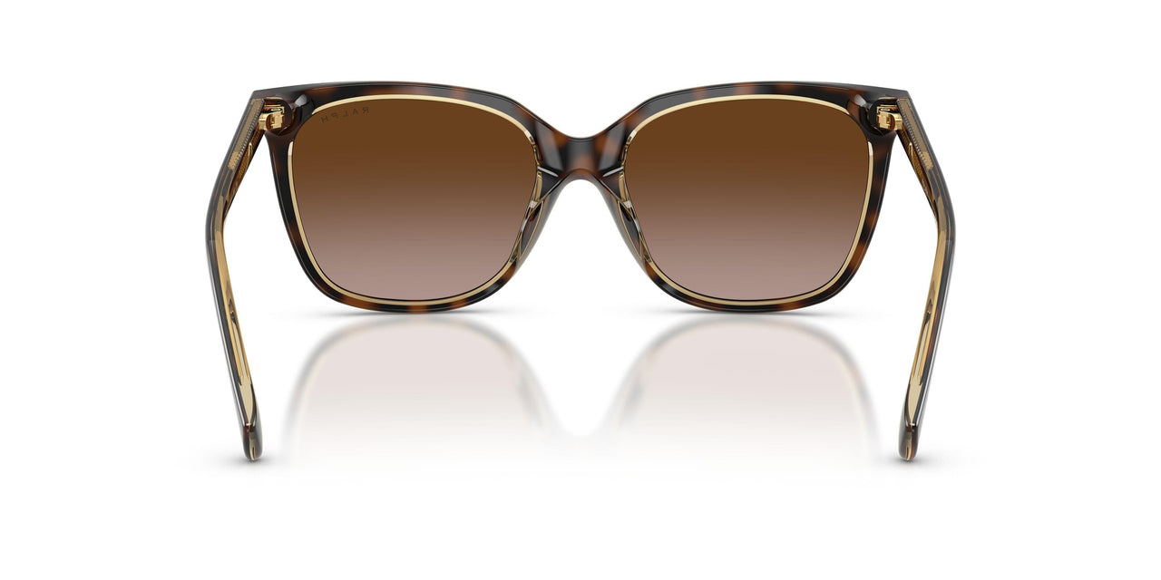 629413 - Brown - Gradient Brown