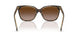 629413 - Brown - Gradient Brown