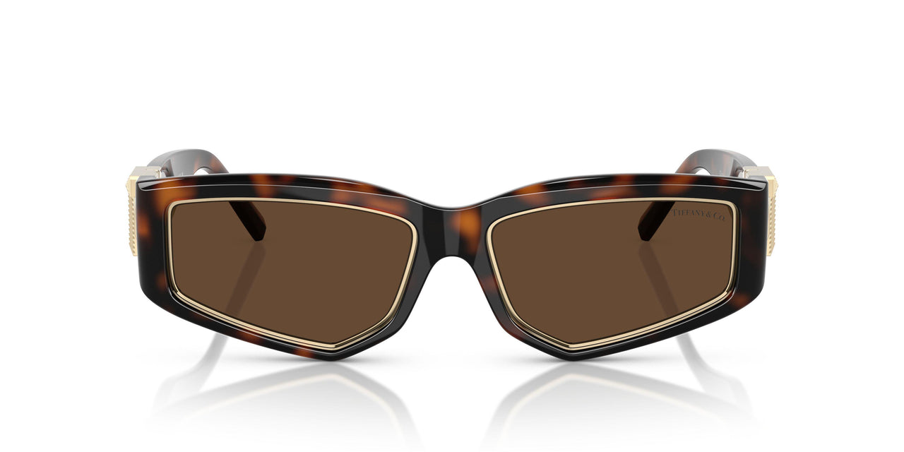 80153G - Tortoise - Light Brown