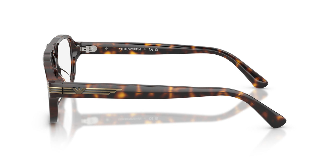 50261W - Tortoise - Clear