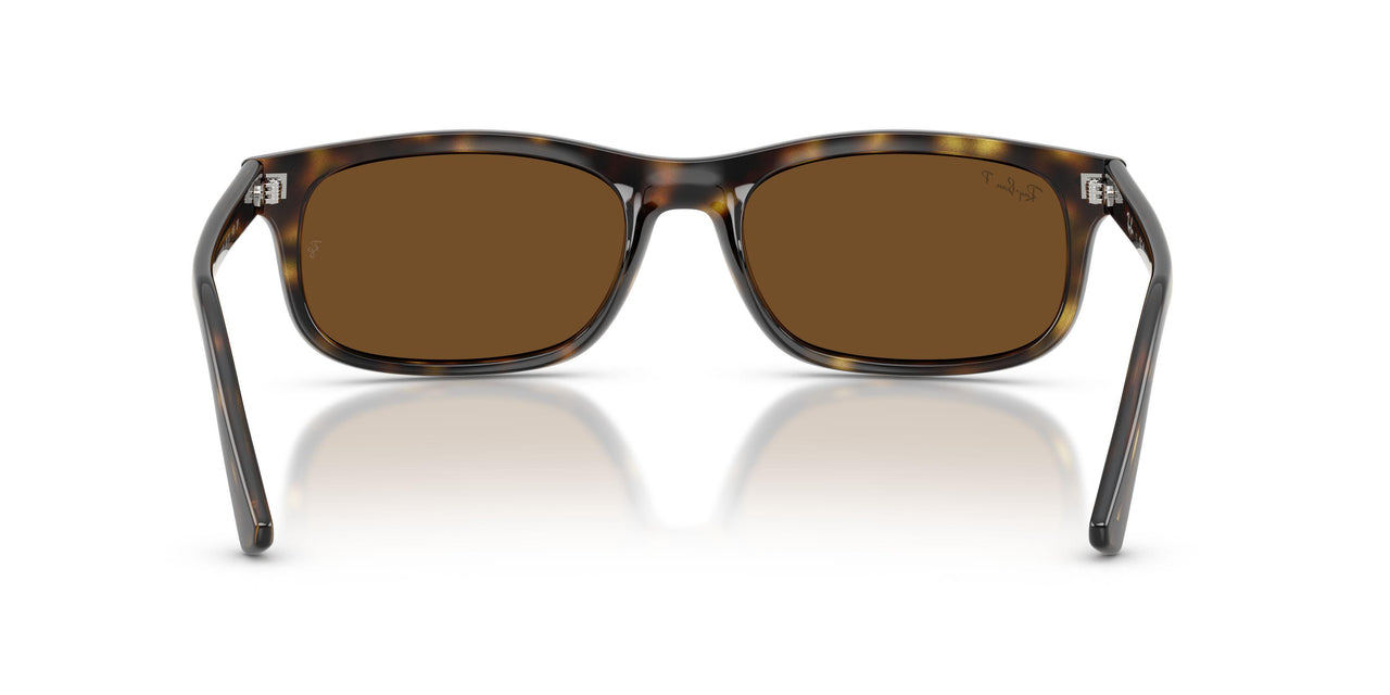 710/57 - Tortoise - Polar Brown
