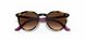 706468 - Transparent Fuxia - Violet Gradient Brown
