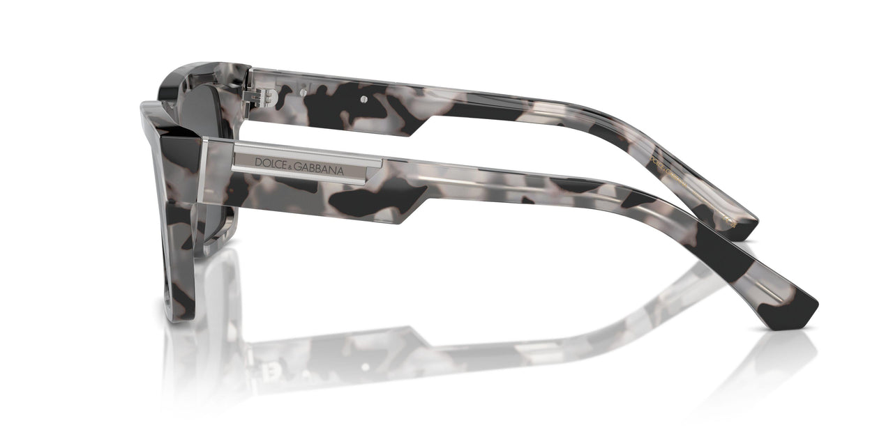 343587 - Tortoise - Dark Grey