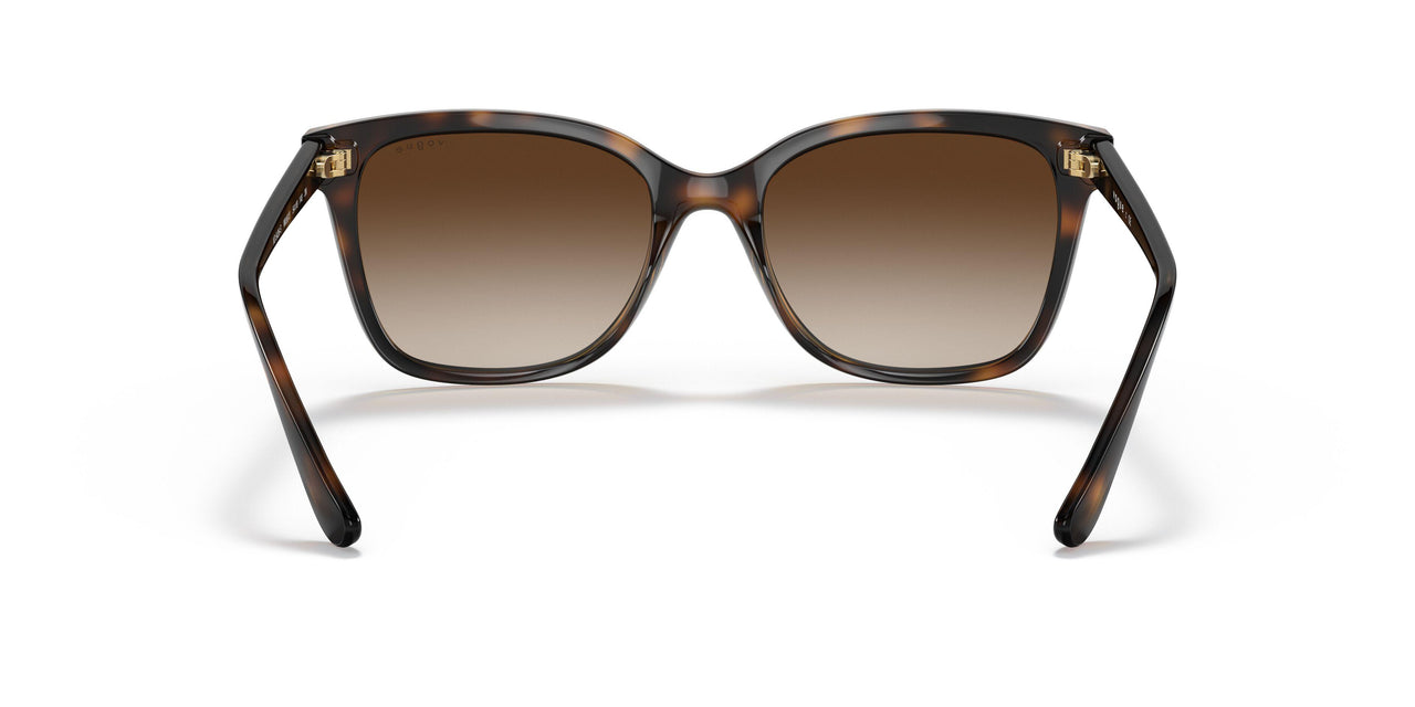 W65613 - Havana - Brown Gradient