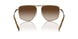 100113 - Grey - Brown Gradient
