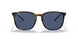 710/80 - Tortoise - Dark Blue