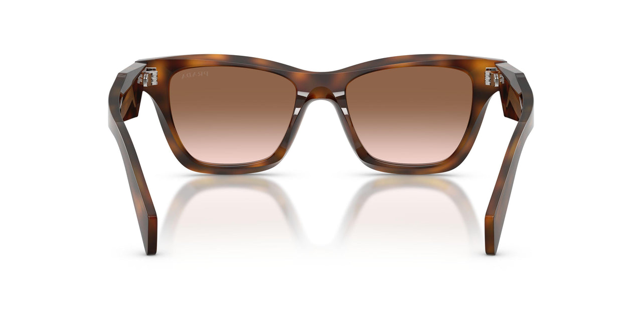 20D90P - Tortoise - Brown Gradient
