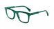 DG - Dark Green