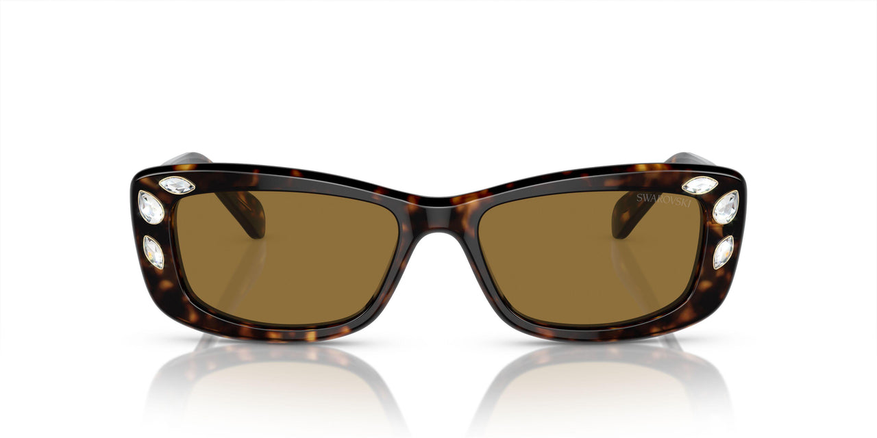 100273 - Brown - Bronze