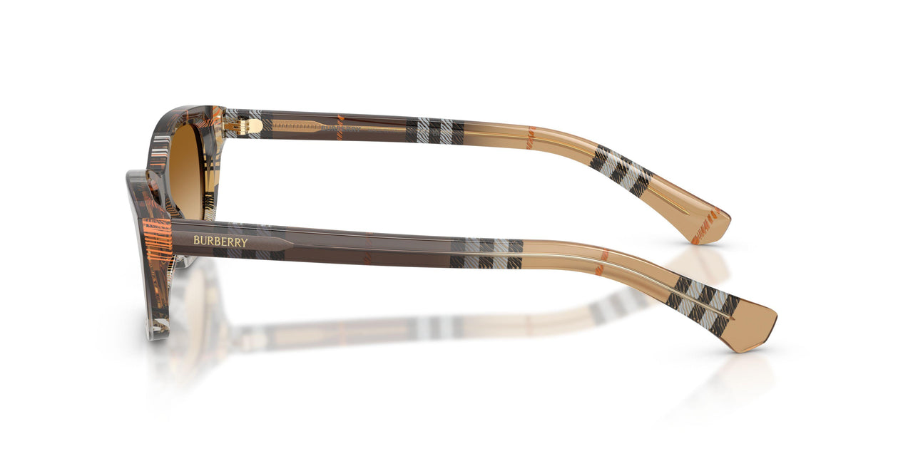 420213 - Brown - Brown Gradient