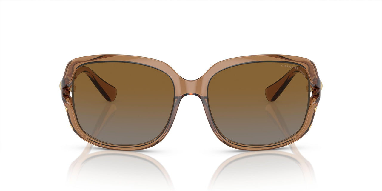 5561T5 - Brown - Brown Grey Gradient Polar
