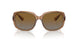 5561T5 - Brown - Brown Grey Gradient Polar
