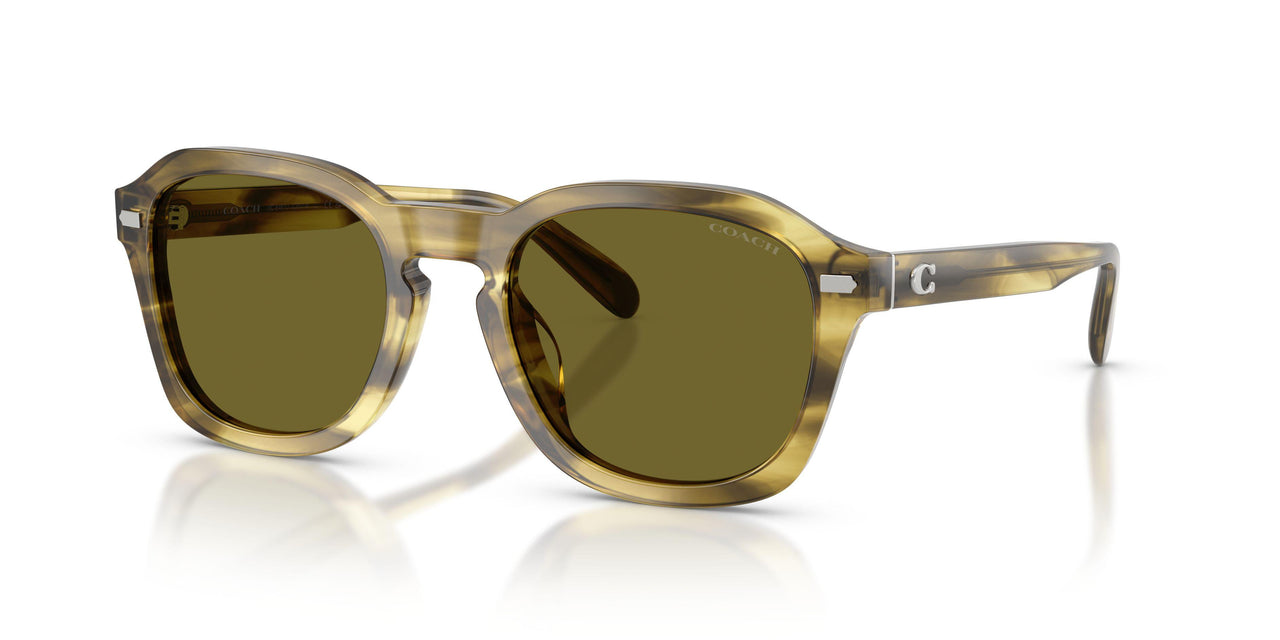 Coach Cfu14 8467U Sunglasses