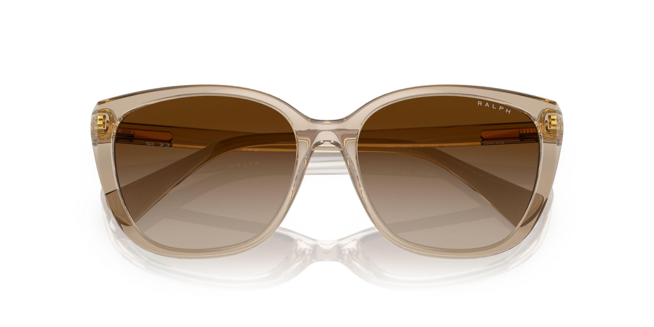 580213 - Brown - Gradient Brown
