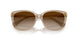 580213 - Brown - Gradient Brown