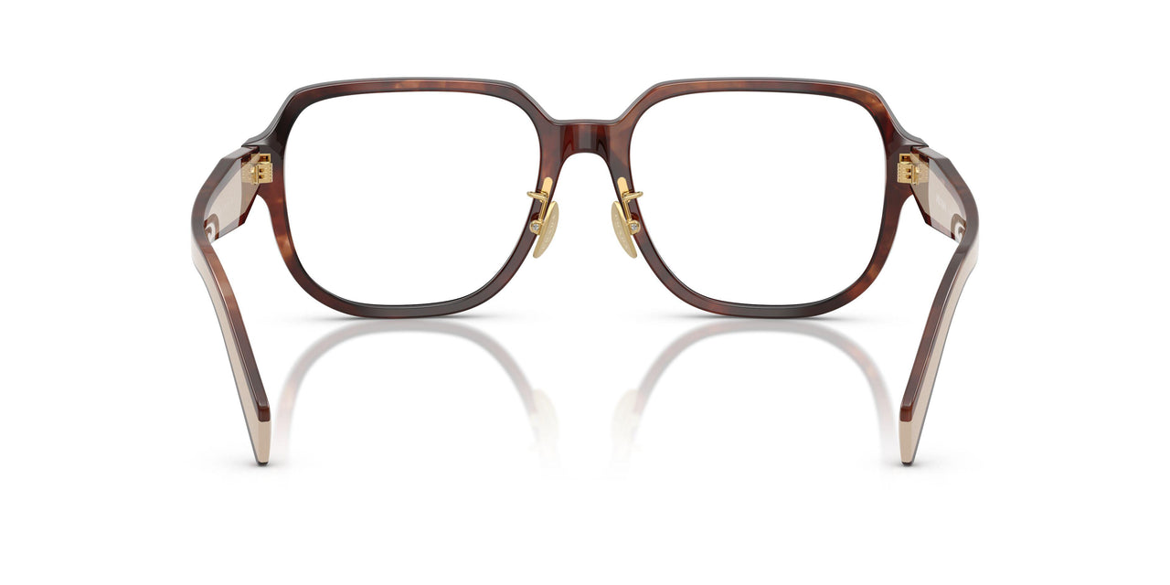 07R1O1 - Brown