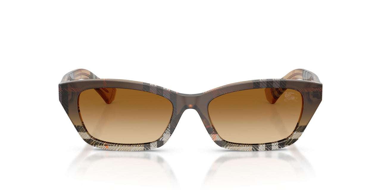420213 - Brown - Brown Gradient
