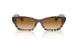 420213 - Brown - Brown Gradient