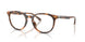 6161 - Tortoise