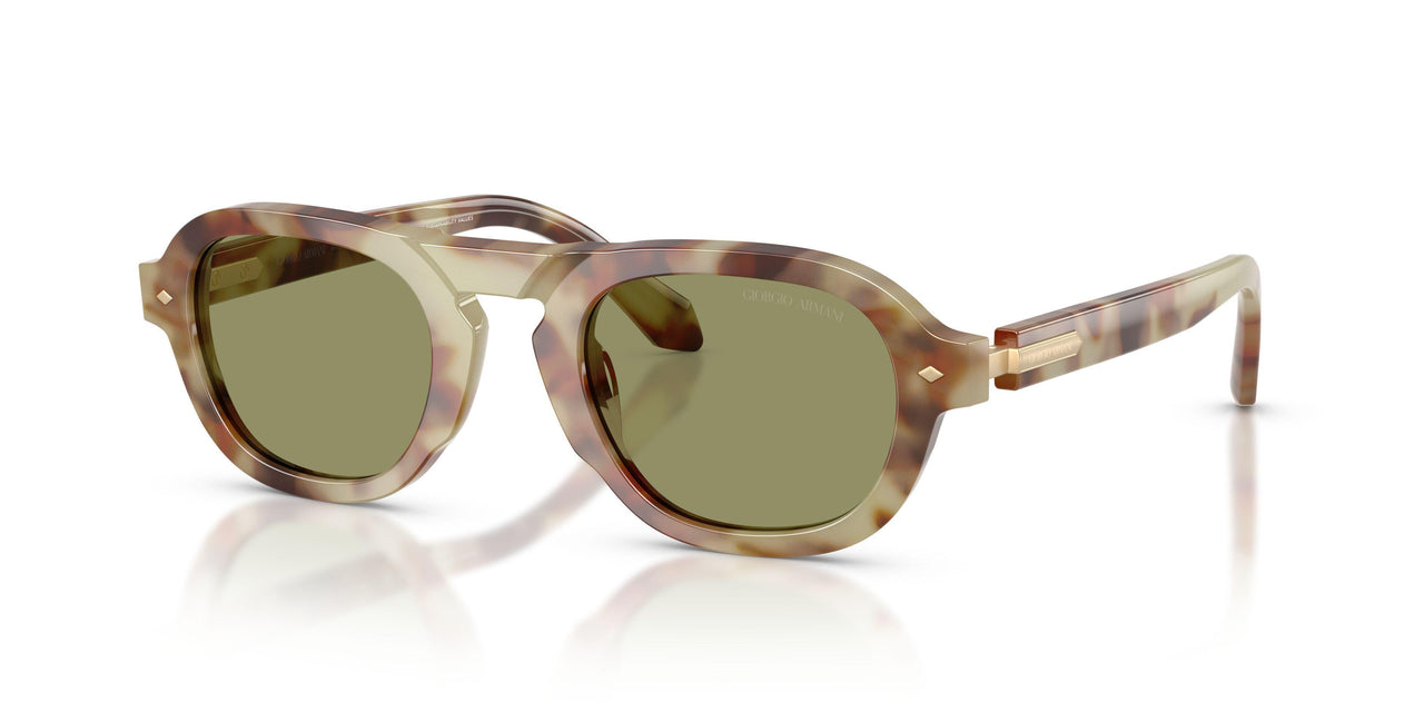 629914 - Tortoise - Green