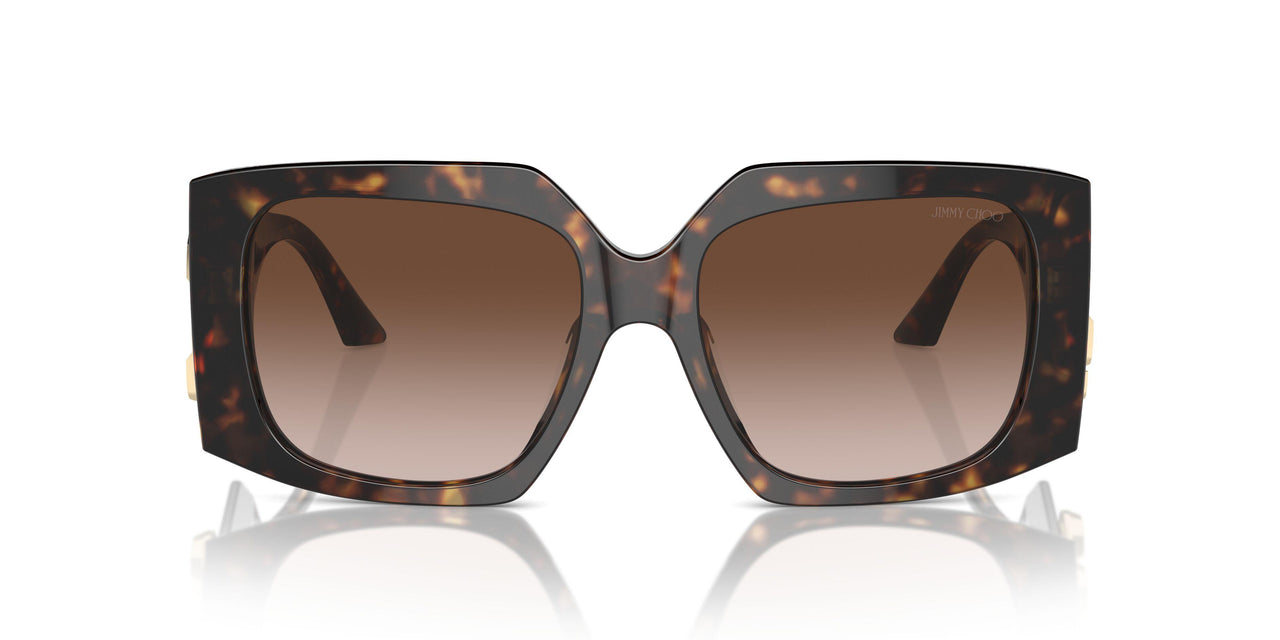 500213 - Tortoise - Gradient Brown