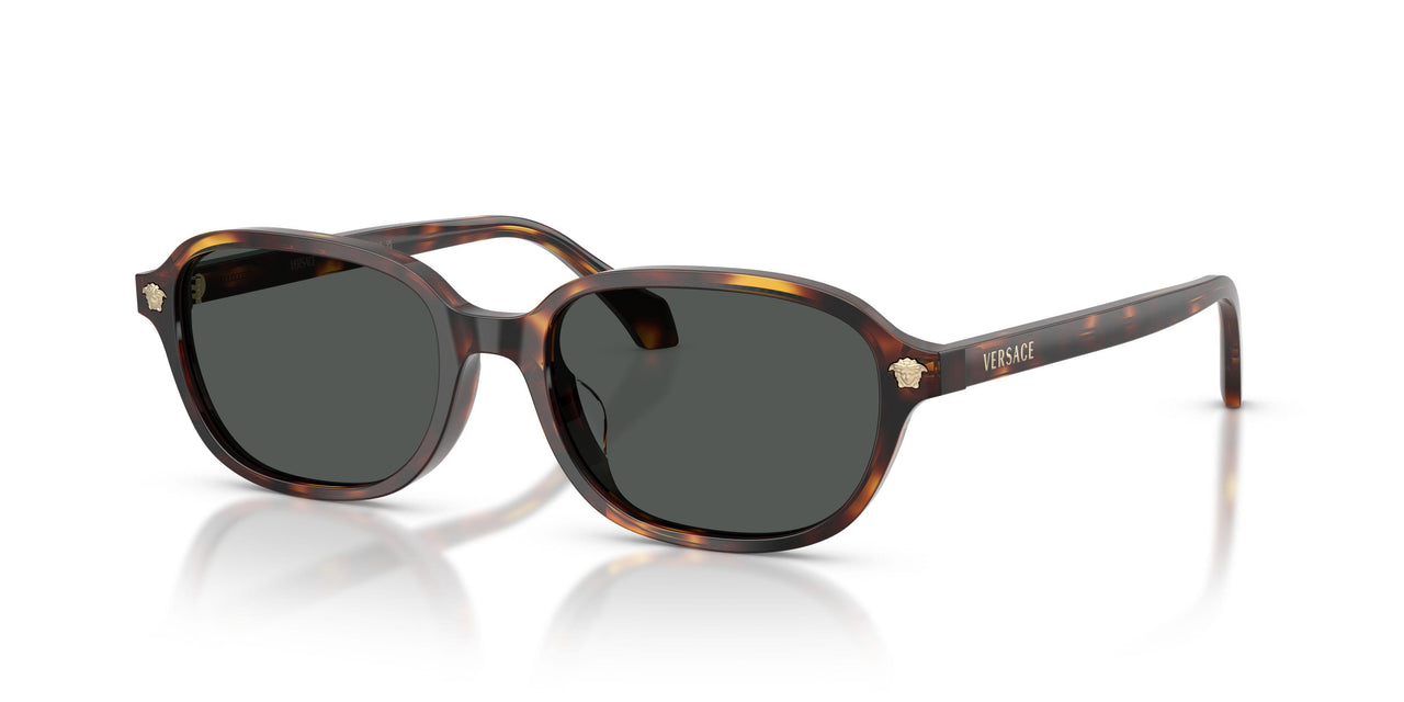 553773 - Tortoise - Dark Brown