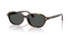 553773 - Tortoise - Dark Brown