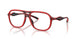 2009 - Red