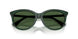 416271 - Green - Dark Green
