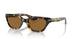 165457 - Tortoise - True Brown