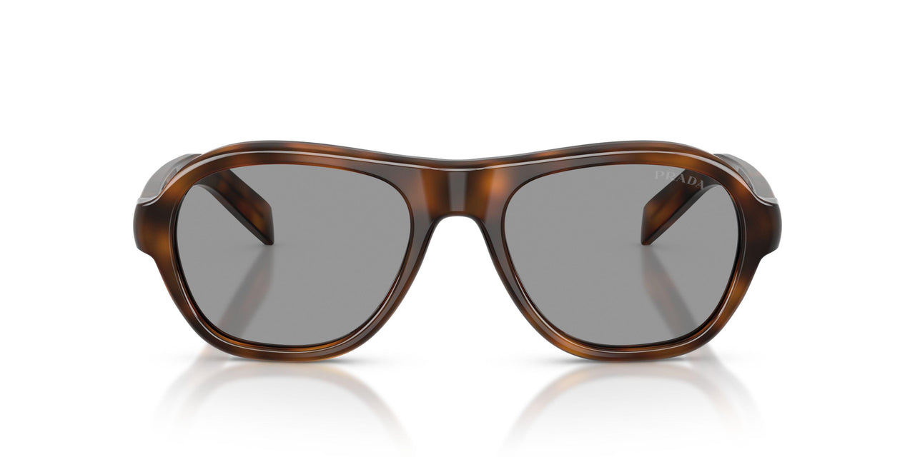 20D50Q - Havana Brown