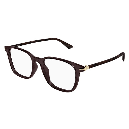 003 - Brown - Transparent