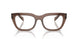 17O1O1 - Brown