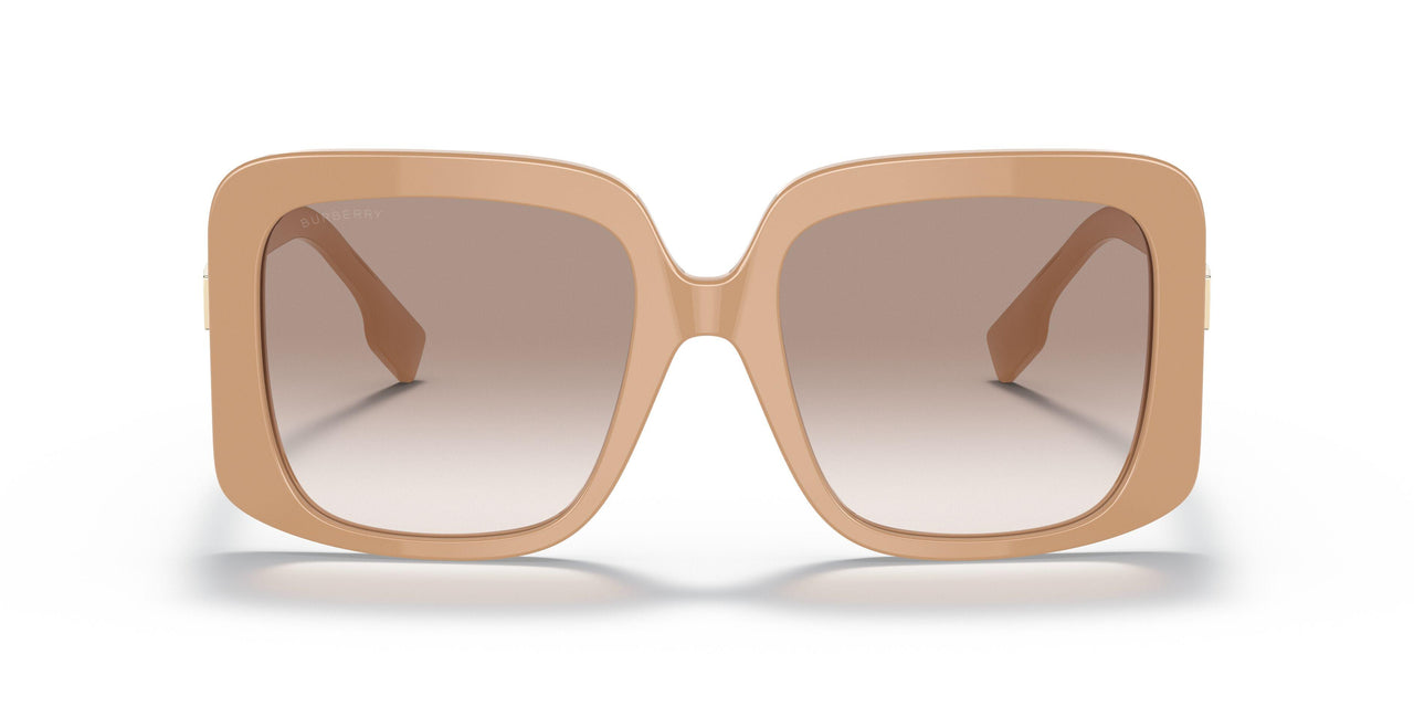 399013 - Brown - Brown Gardient