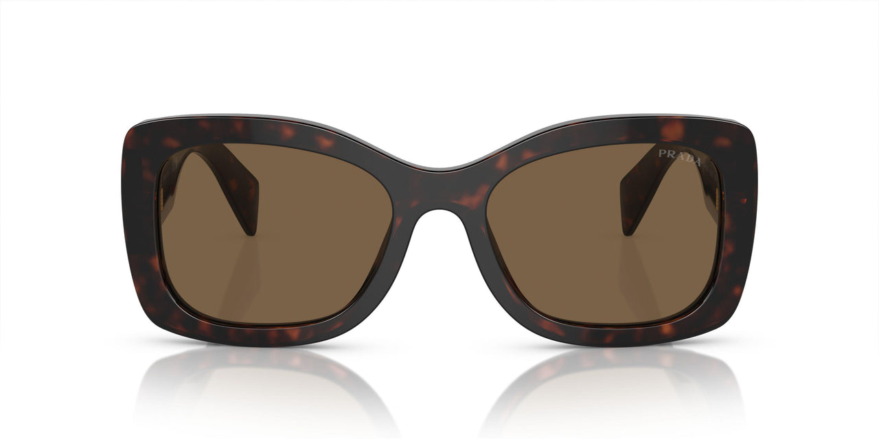 16N5Y1 - Brown - Dark Brown Polar