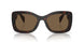 16N5Y1 - Brown - Dark Brown Polar