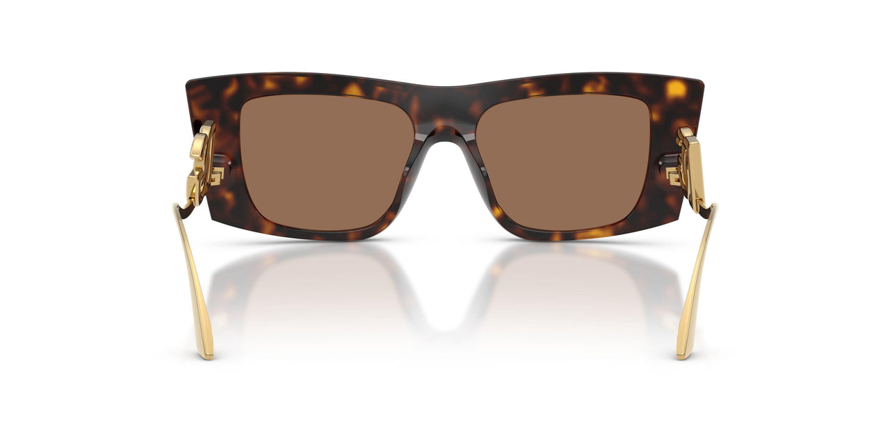 502/73 - Tortoise - Dark Brown