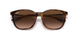 710/13 - Tortoise - Brown Gradient Dark Brown
