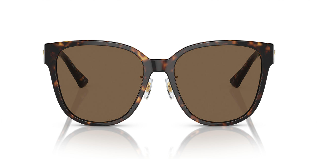 108/73 - Tortoise - Dark Brown