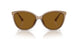 3938T5 - Brown - Brown Gradient Polarized