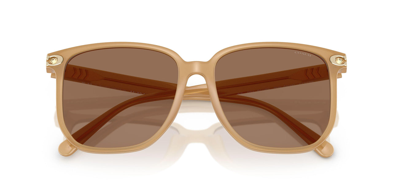 585473 - Brown - Brown Solid