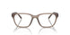 2906 - Brown - Transparent