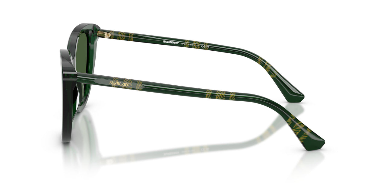 416271 - Green - Dark Green