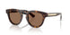 420573 - Brown - Dark Brown