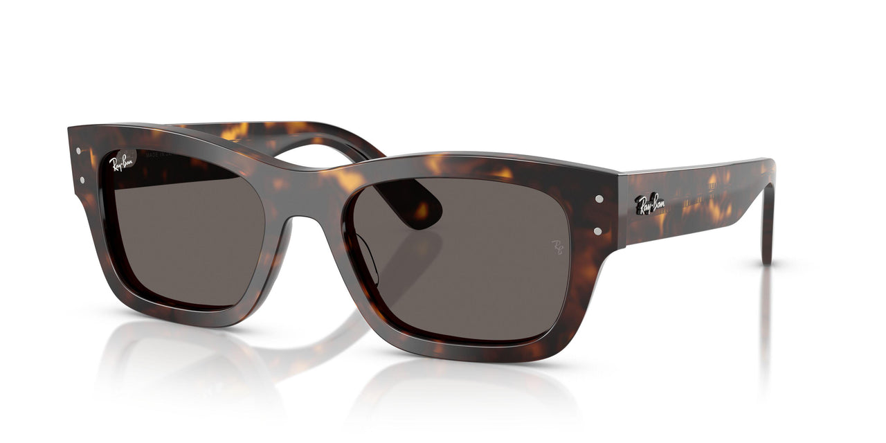 902/B1 - Tortoise - Dark Grey