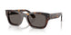 902/B1 - Tortoise - Dark Grey