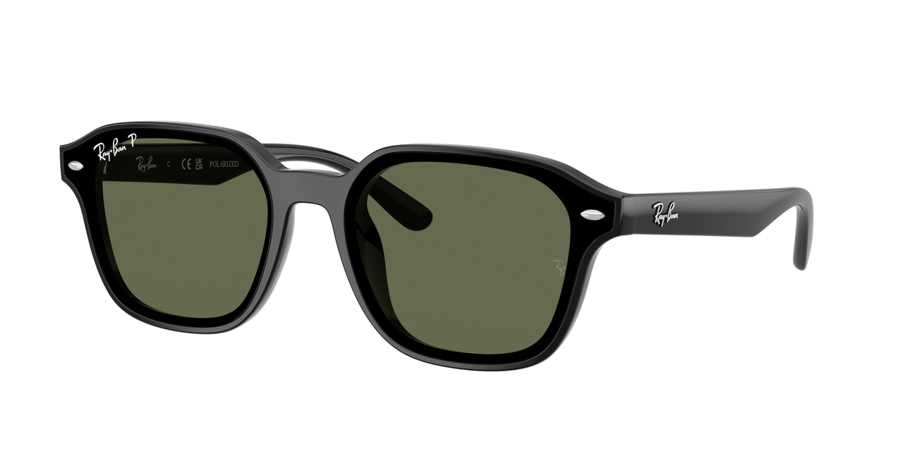 Ray-Ban 4458D Sunglasses